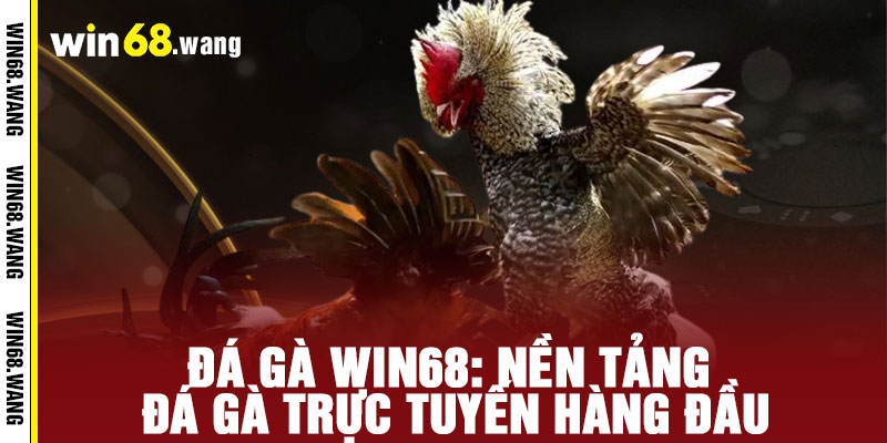 Đá Gà WIN68 - Đẳng cấp đấu trường, thắng lớn đỉnh cao 2 Đá Gà WIN68: Nền Tảng Đá Gà Trực Tuyến Hàng Đầu